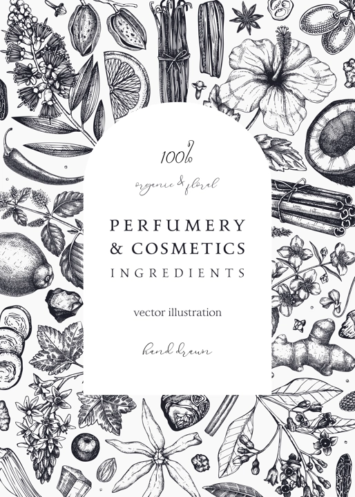 Aromatic plants card template. Perfumery ingredients frame. Flower, fruit, spice, herb sketches. Hand drawn vector illustration. Cosmetics packaging concept